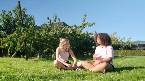 two young ladies discussing on the grass from Between Teenagers series