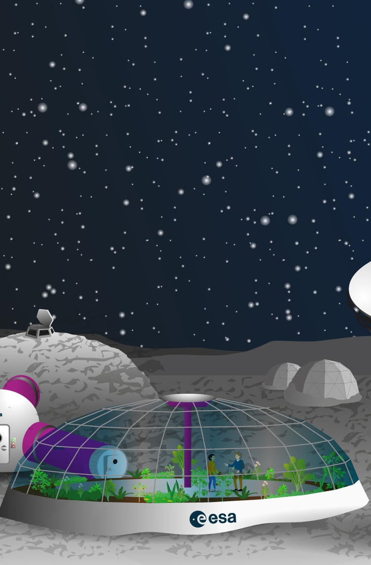 mooncamp_pioneers_banner_clean