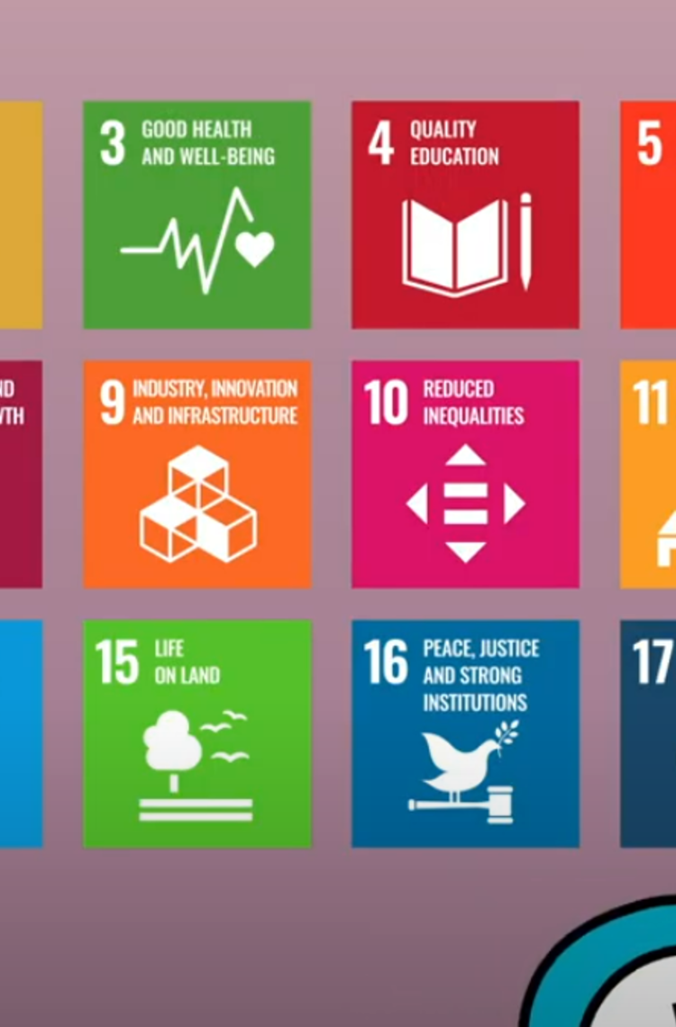 Image with all the seventeen sustainable development goals pictograms. 